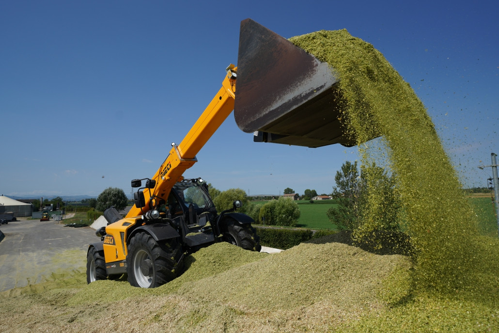 Dieci Mezogazdasag Cikk